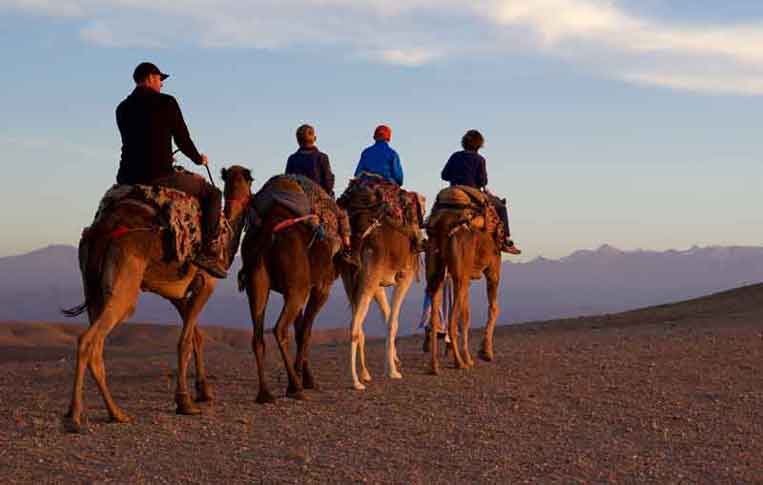 Day Trip to Agafay Desert