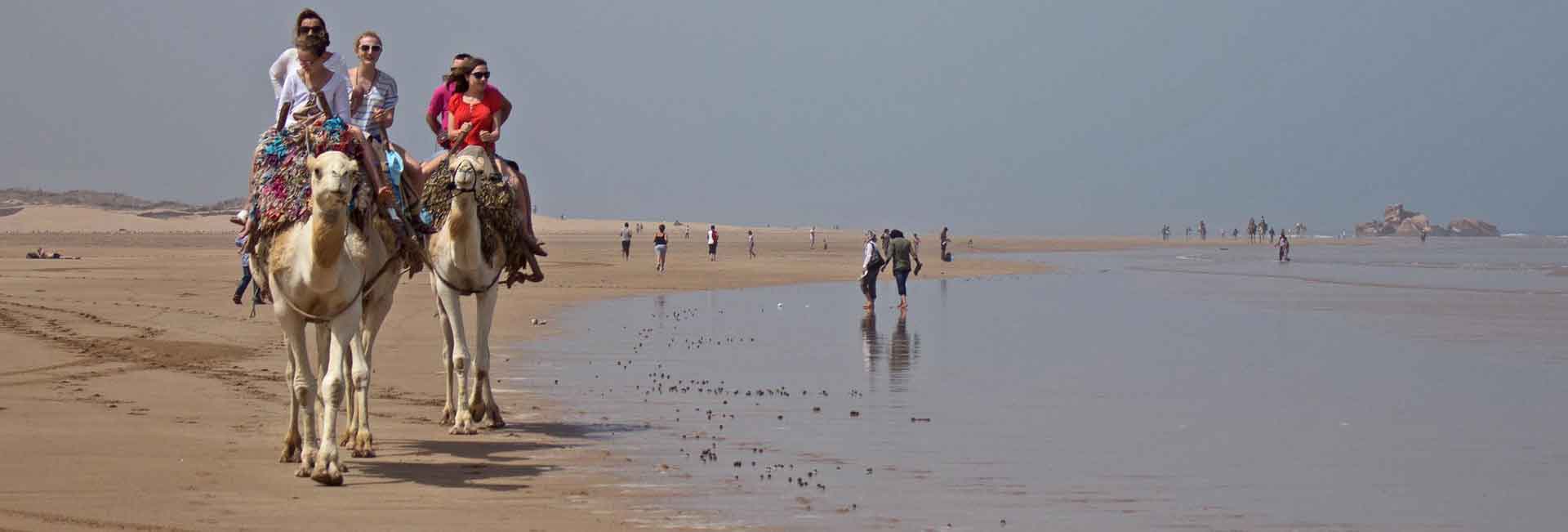 day trip to essaouira