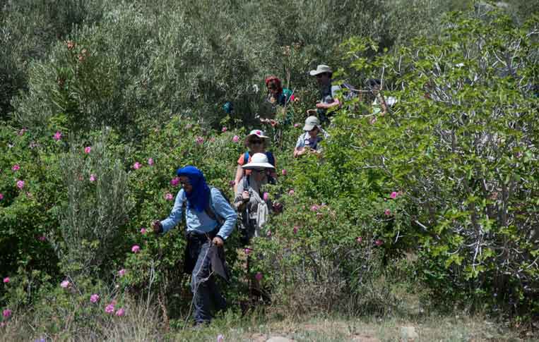 Culture Berber Villages Discovery Trek