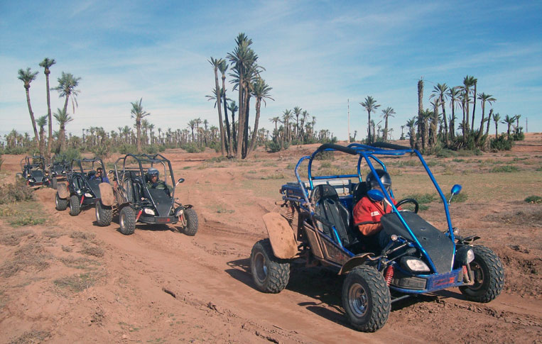 Marrakech Palmeraie Quad Bike Desert Adventure